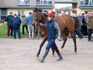 BP140425-59 - Squire Danagher